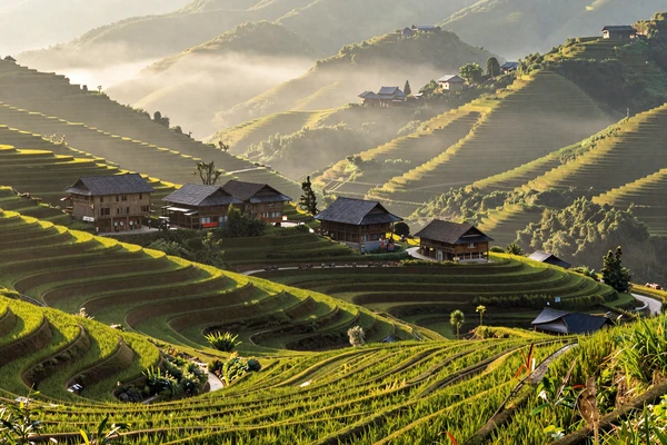 Terraced rice paddies in northern Vietnam Sapa region with morning mist and traditional houses